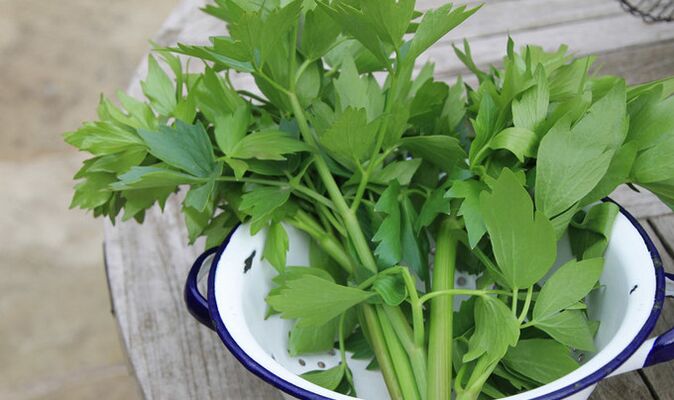 herb lovage alang sa potency