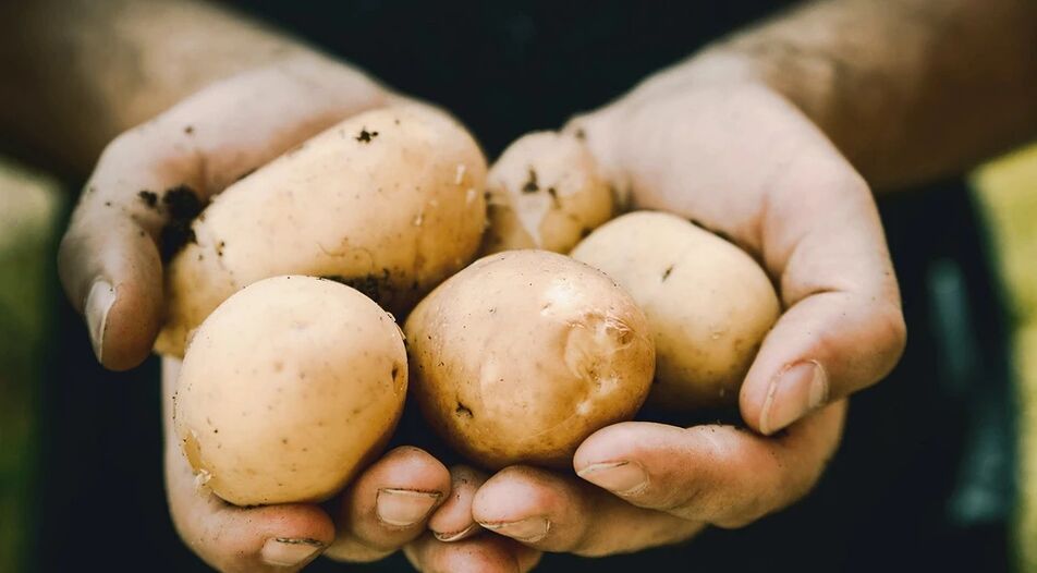 Ang patatas adunay positibo nga epekto sa kahimsog sa kalalakin-an
