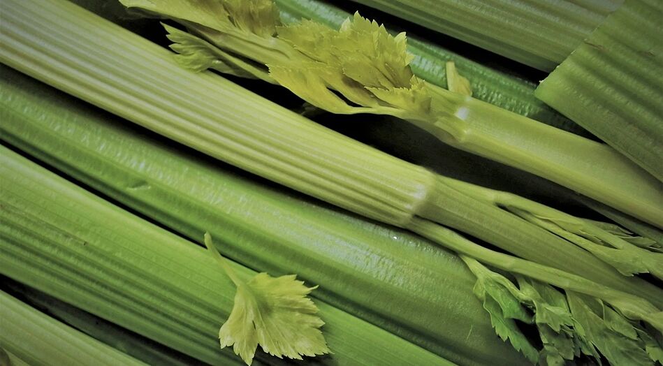 Nakatabang ang celery aron ma-normalize ang libido